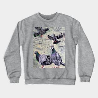 Brooklyn pigeons in NYC smog Crewneck Sweatshirt